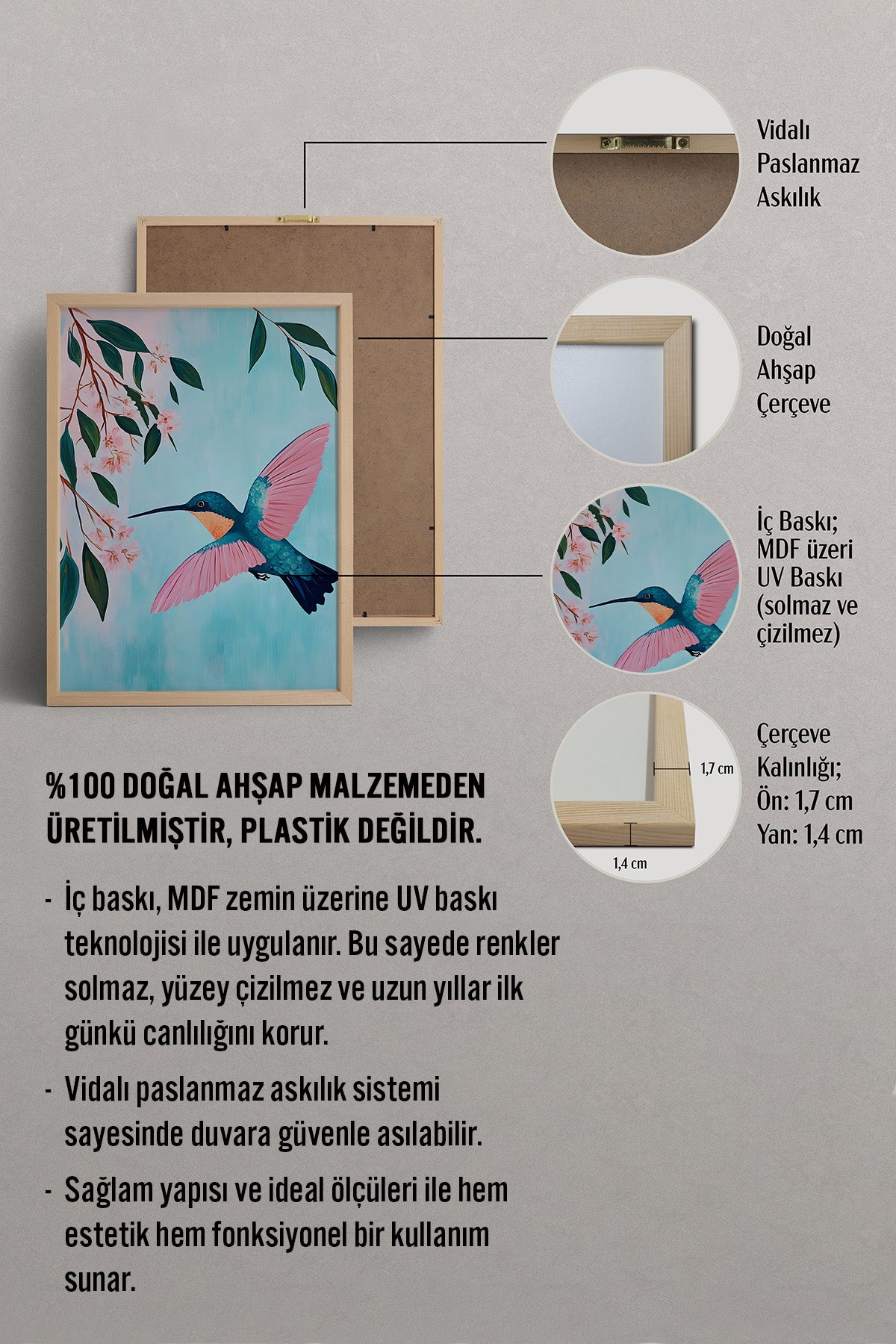 HOMEPACK Pembe Kanatlı Sinek Kuşu Tablo  BEK-8620