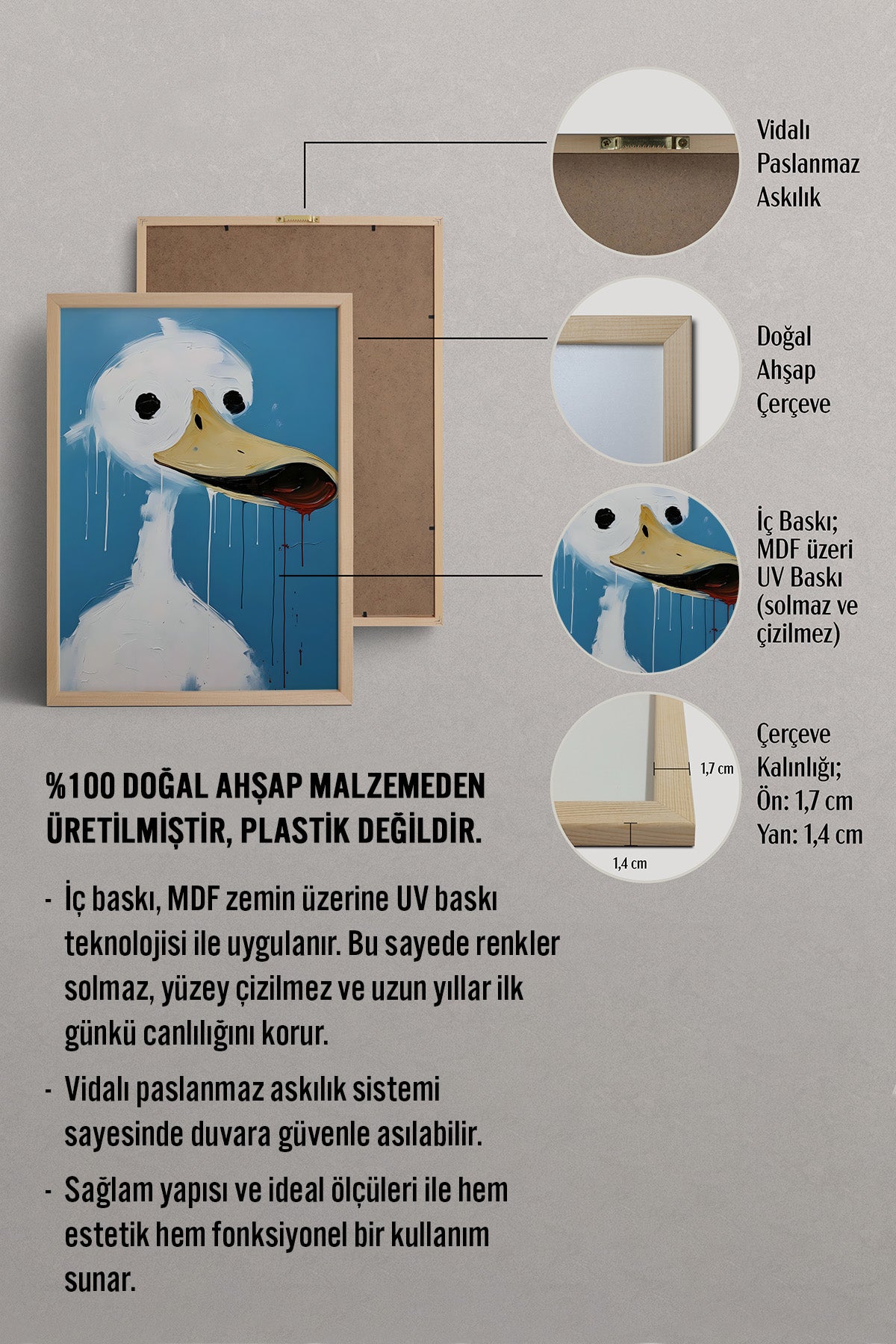 HOMEPACK Şaşkın Ördek Tablo  BEK-8623