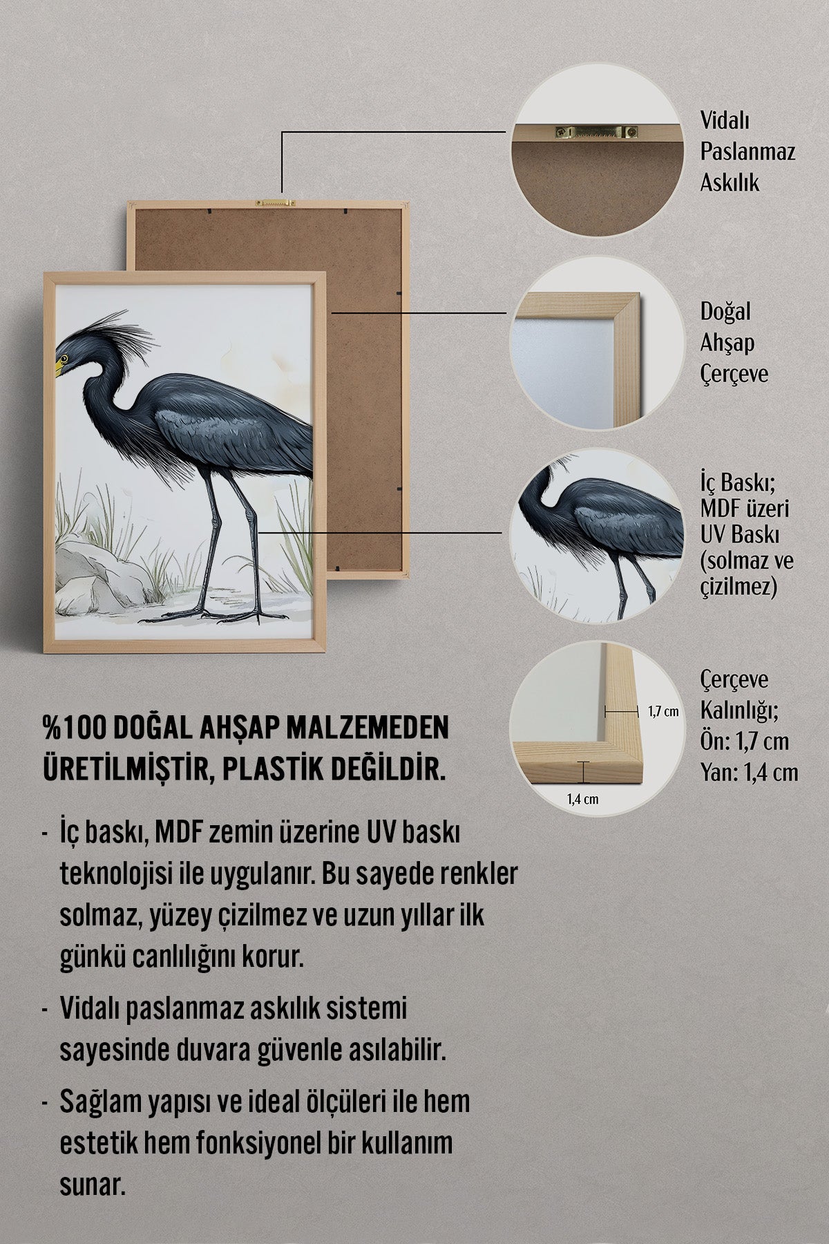 HOMEPACK Karizmatik Balıkçıl Tablo  BEK-8626