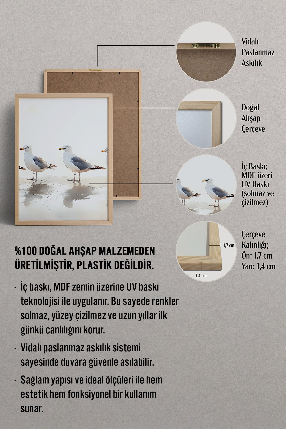 HOMEPACK Martı Takımı Tablo  BEK-8628