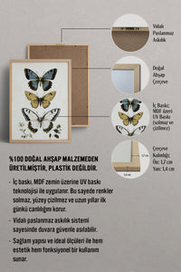 HOMEPACK Zarif Kelebekler Tablo  BEK-8631