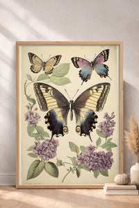 HOMEPACK Leylaklı Kelebek Tablo  BEK-8640