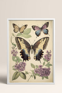 HOMEPACK Leylaklı Kelebek Tablo  BEK-8640