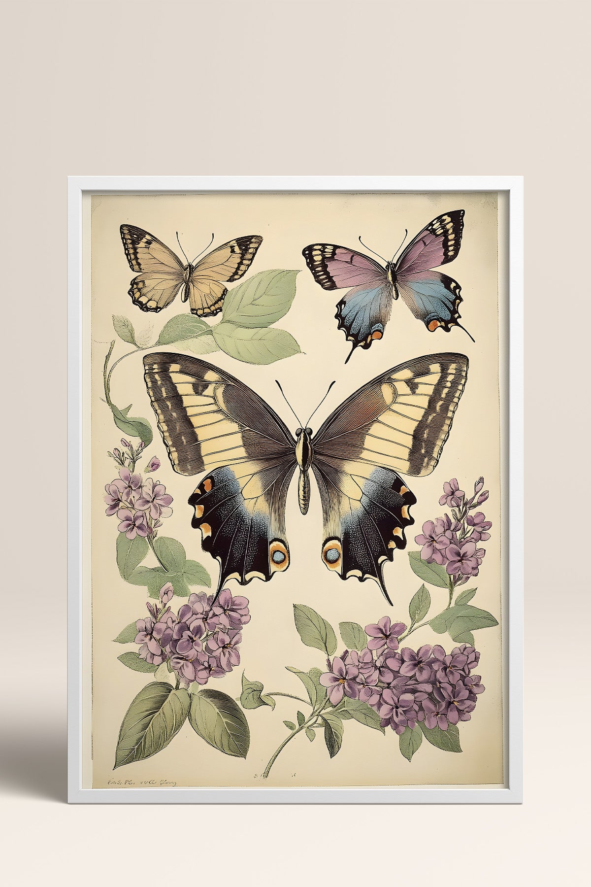 HOMEPACK Leylaklı Kelebek Tablo  BEK-8640
