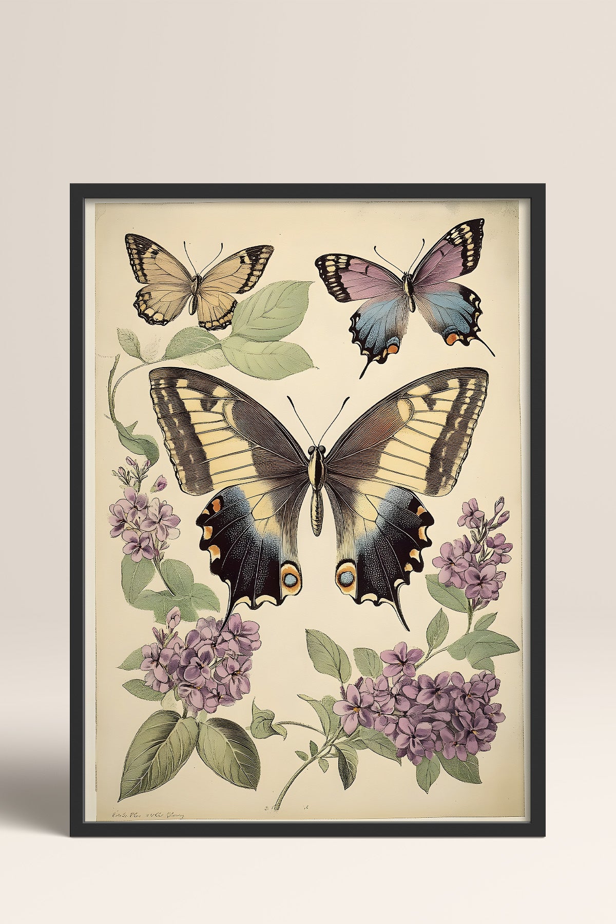 HOMEPACK Leylaklı Kelebek Tablo  BEK-8640