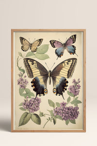 HOMEPACK Leylaklı Kelebek Tablo  BEK-8640