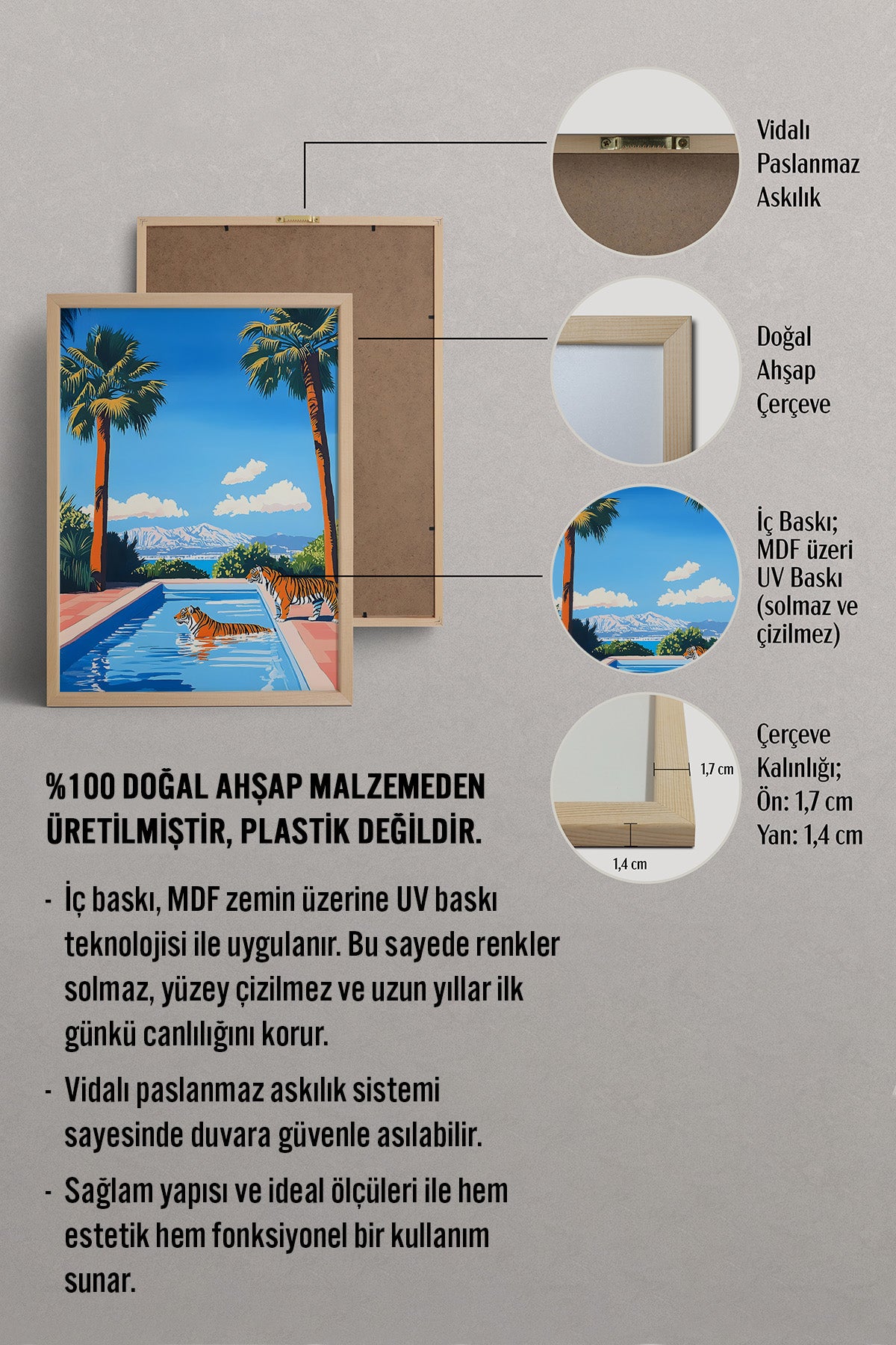 HOMEPACK Havuz Kaplanları Tablo  BEK-8641