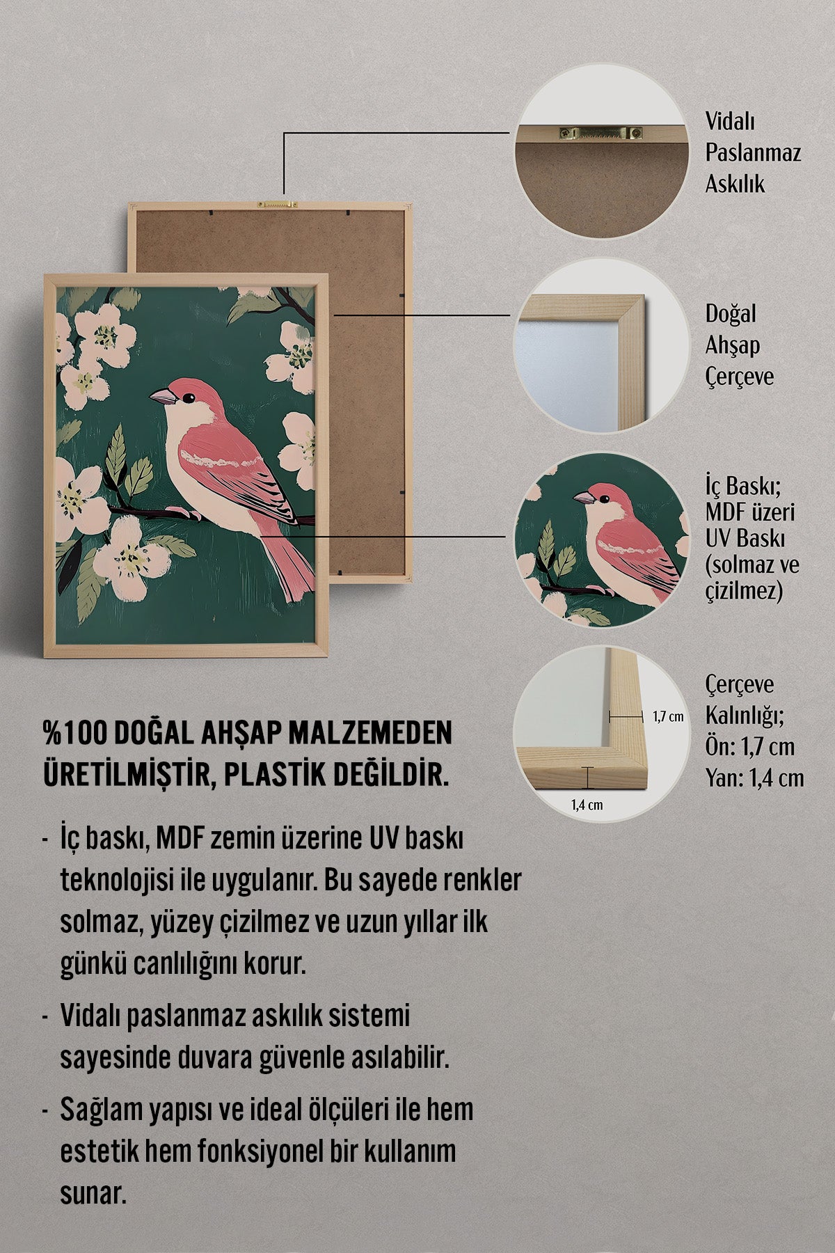 HOMEPACK Bahar Serçesi Tablo  BEK-8644