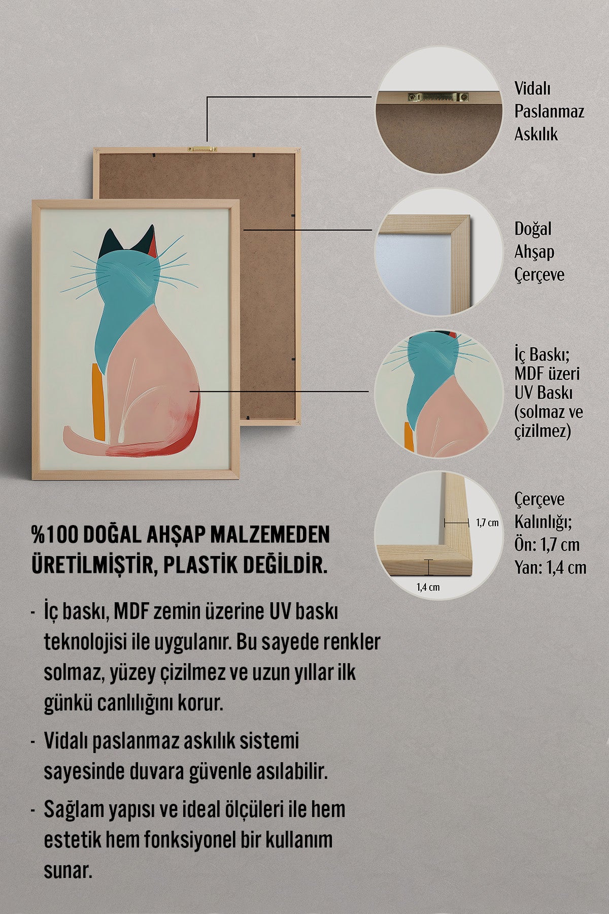 HOMEPACK Pastel Kedi Tablo  BEK-8647