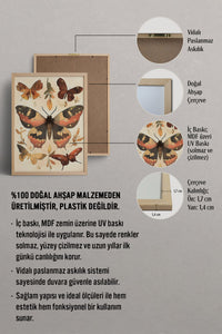 HOMEPACK Tarçın Kanatlar Tablo  BEK-8648