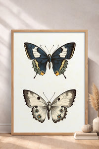 HOMEPACK Kelebek İkilisi Tablo  BEK-8651