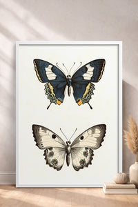 HOMEPACK Kelebek İkilisi Tablo  BEK-8651