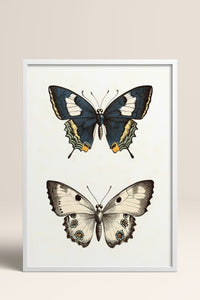HOMEPACK Kelebek İkilisi Tablo  BEK-8651