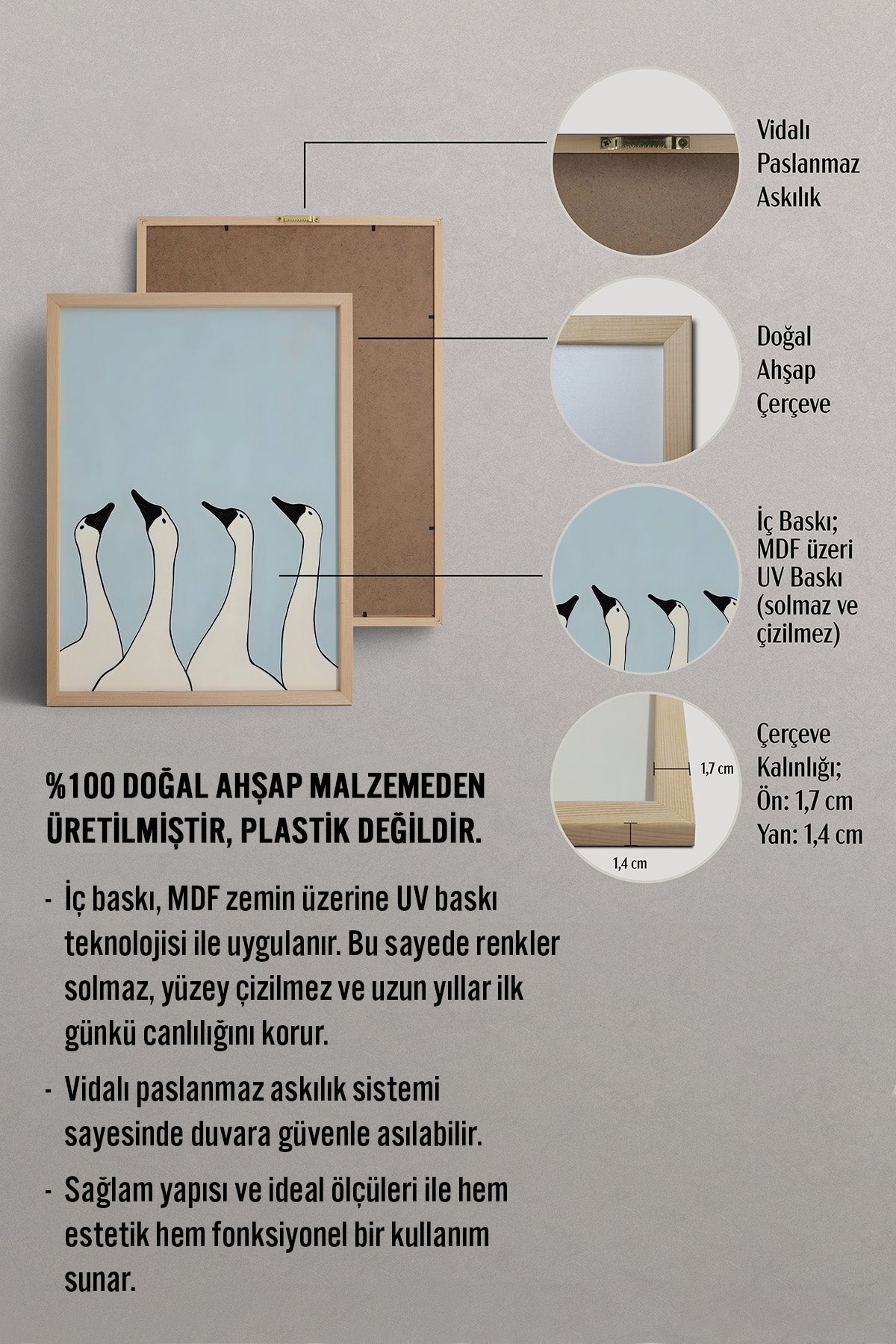 HOMEPACK Meraklı Kazlar Tablo  BEK-8652