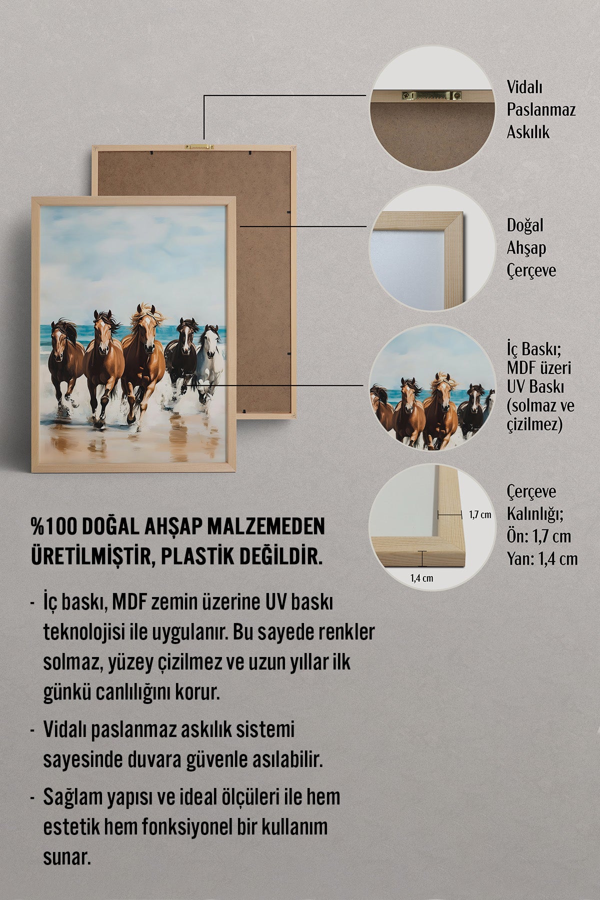 HOMEPACK Sahil Atları Tablo  BEK-8654