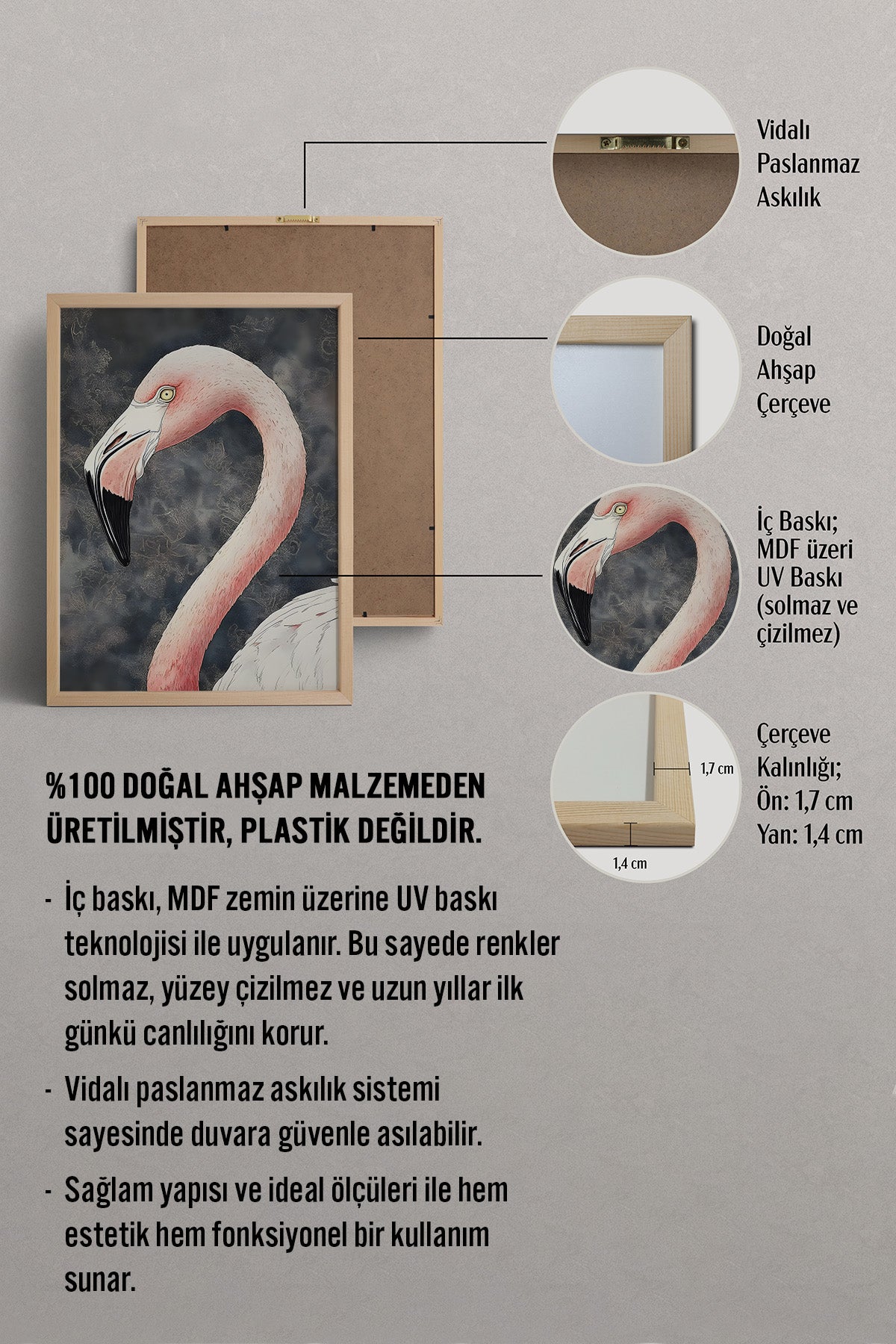 HOMEPACK Flamingo Bakışı Tablo  BEK-8656