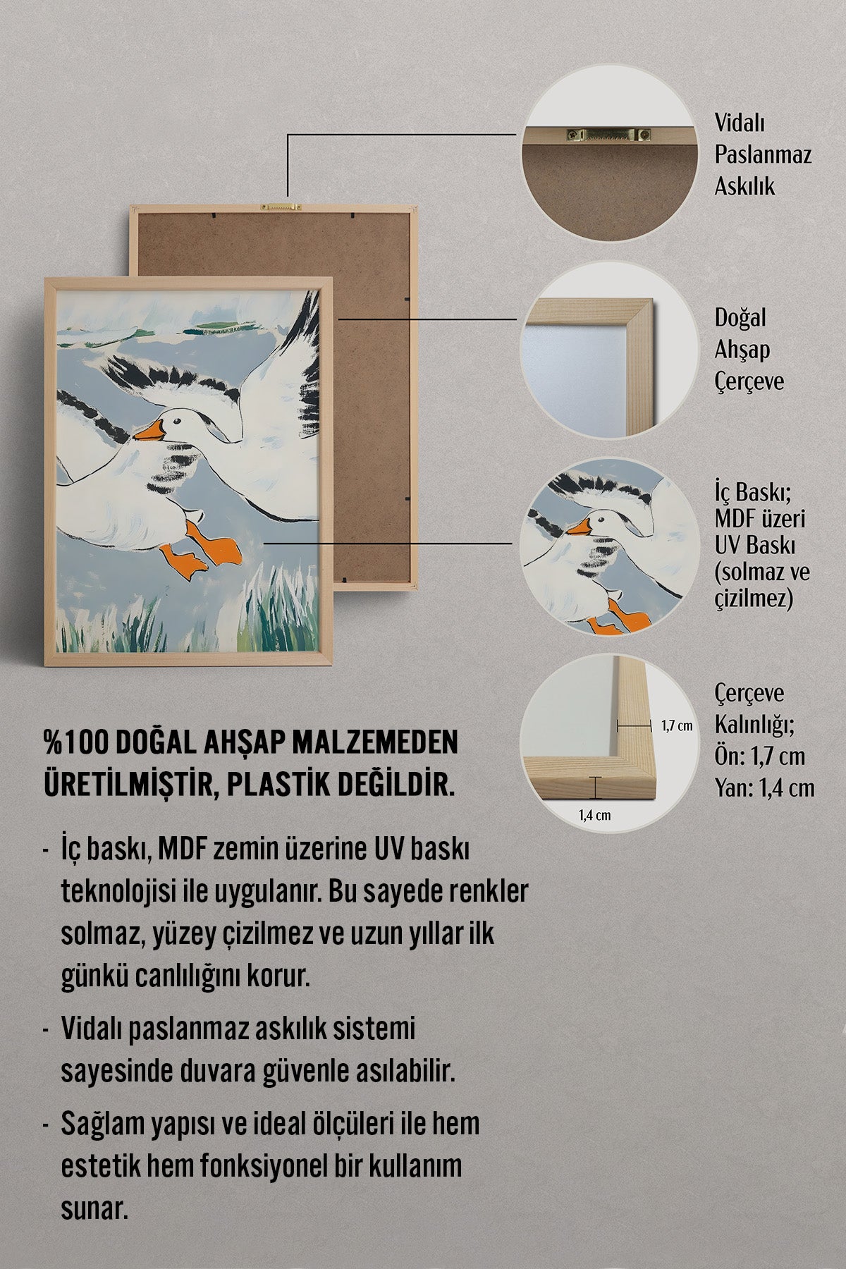 HOMEPACK Neşeli Kaz Tablo  BEK-8657