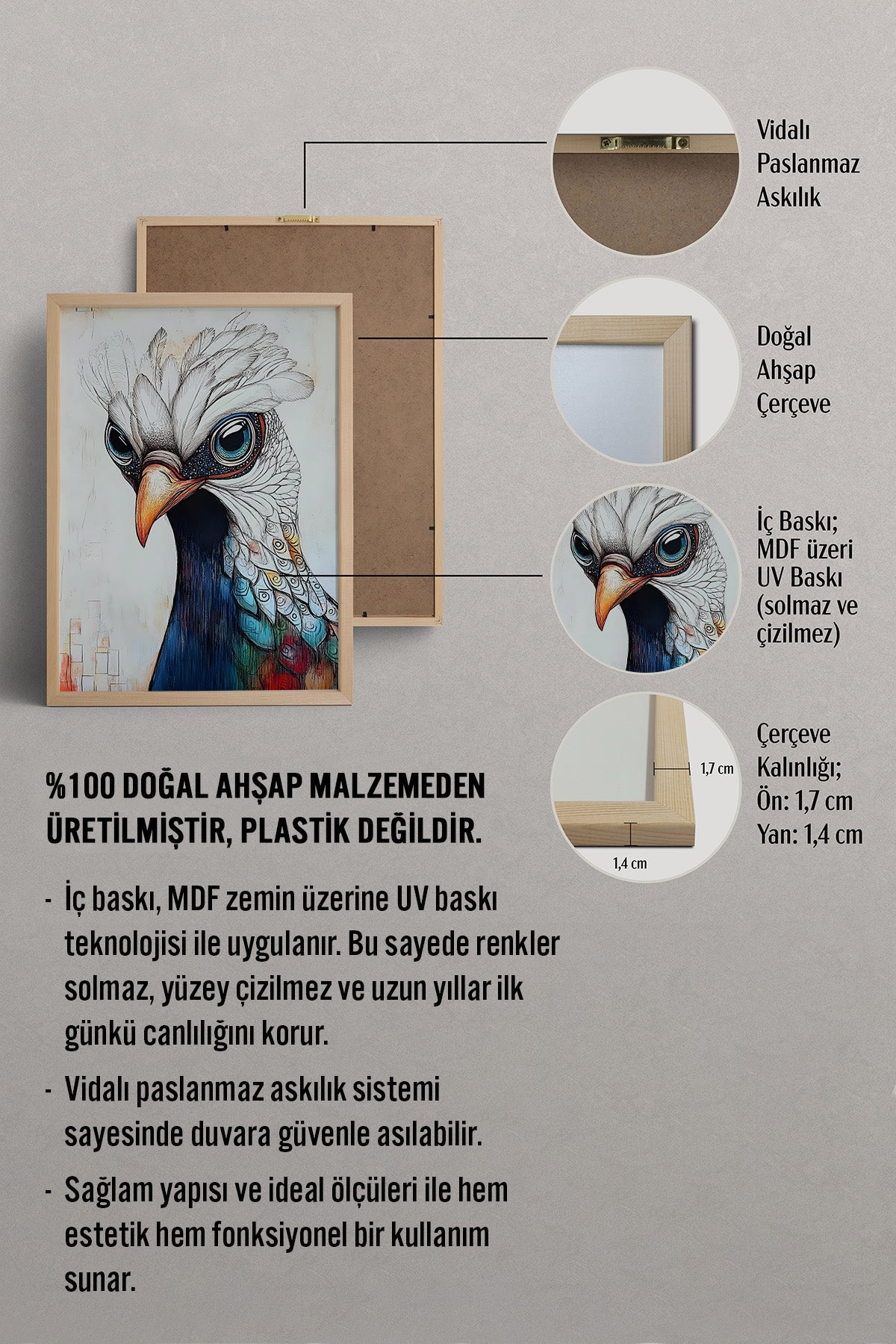 HOMEPACK Sanatçı Tavus Tablo  BEK-8662