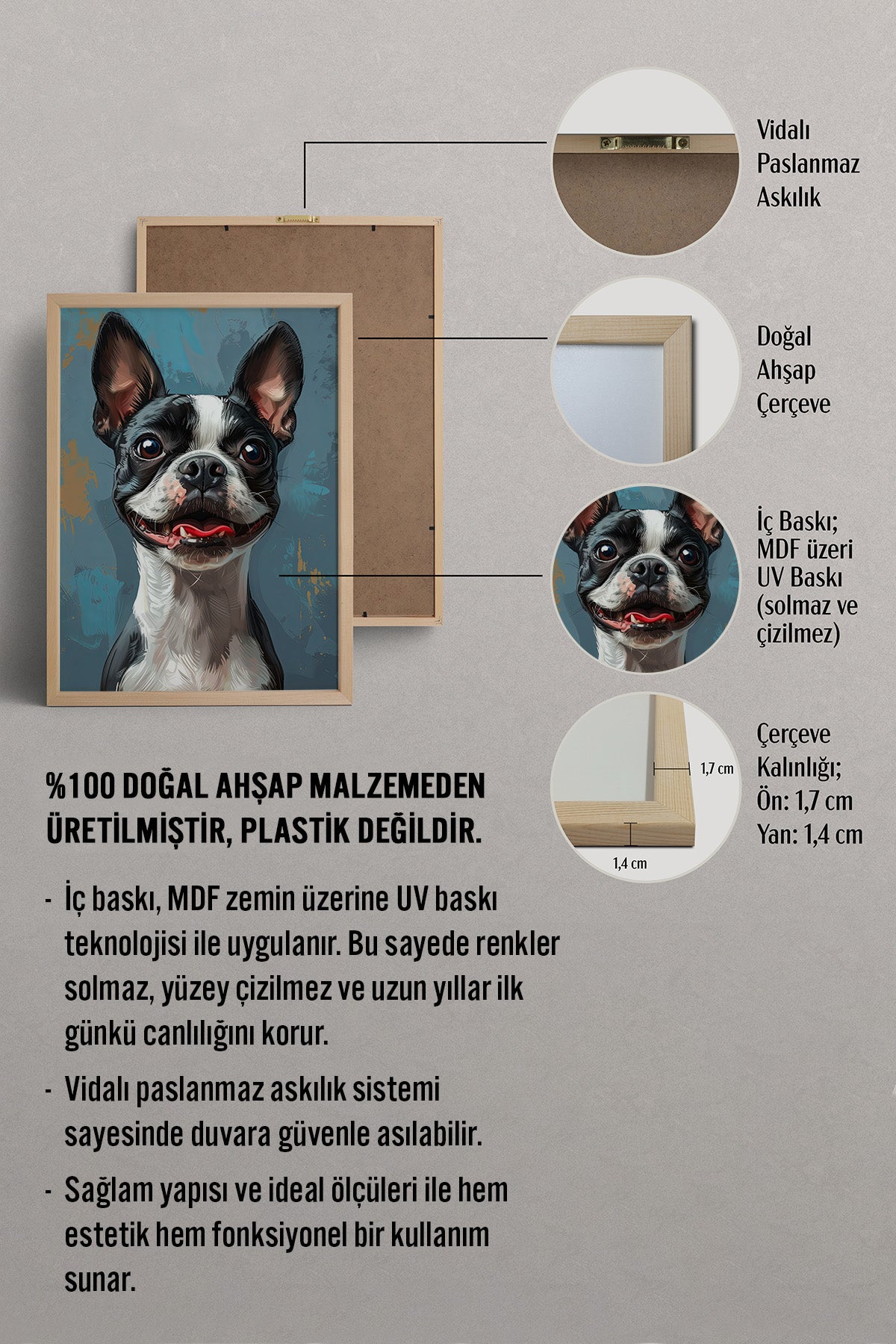 HOMEPACK Komik Boston Tablo  BEK-8663