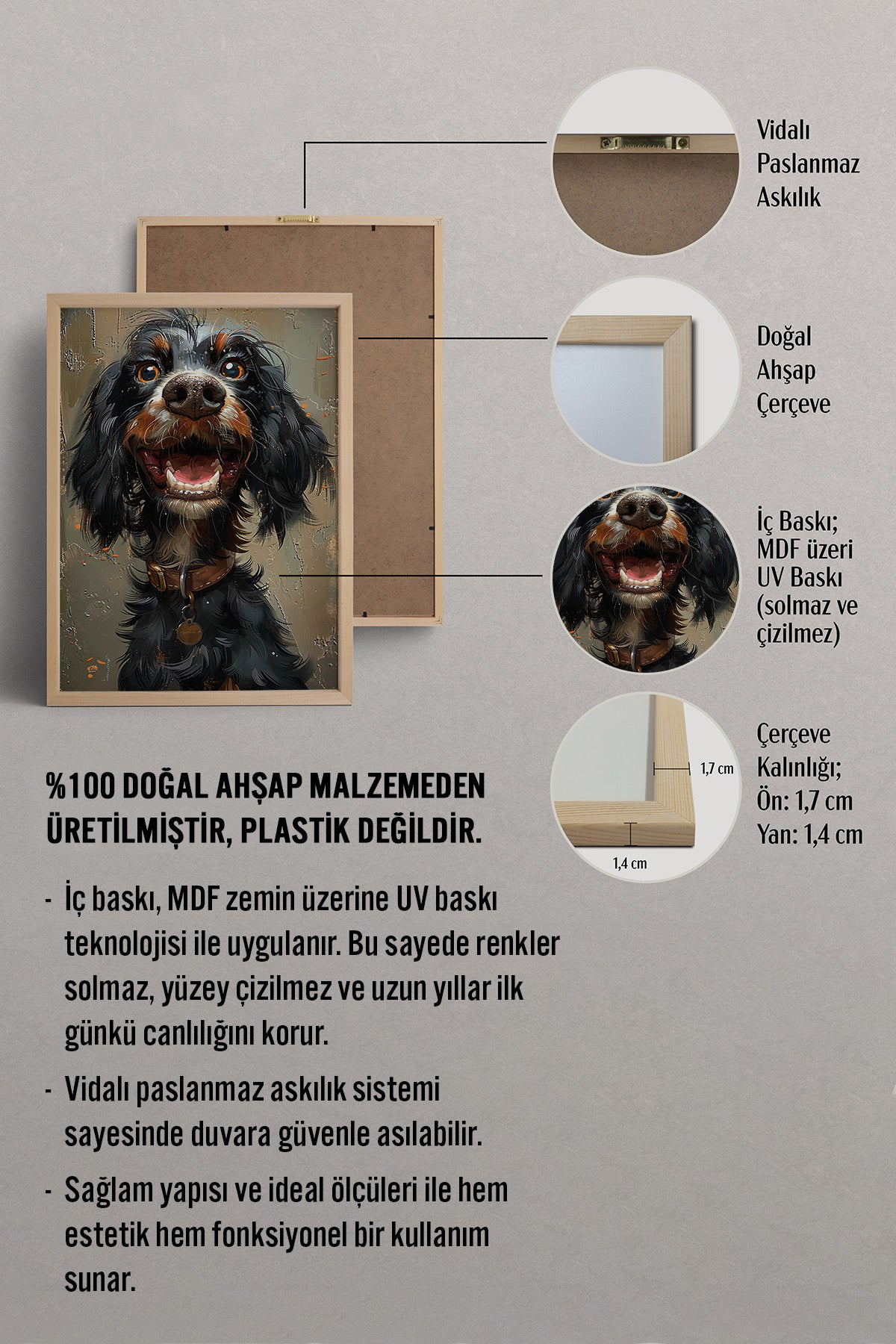 HOMEPACK Neşeli Pati Tablo  BEK-8666