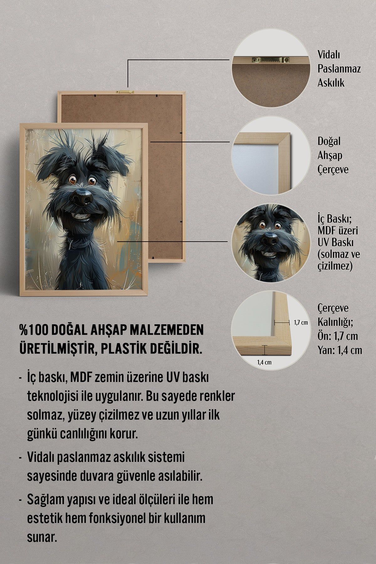 HOMEPACK Çılgın Tüyler Tablo  BEK-8668
