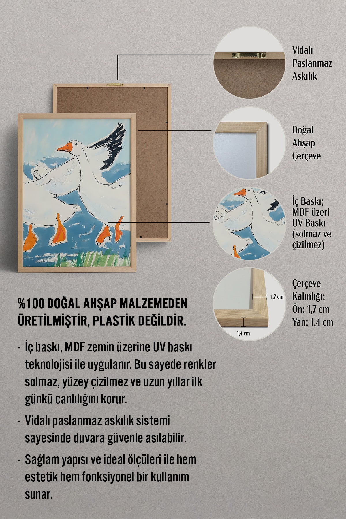 HOMEPACK Özgür Kanatlar Tablo  BEK-8671