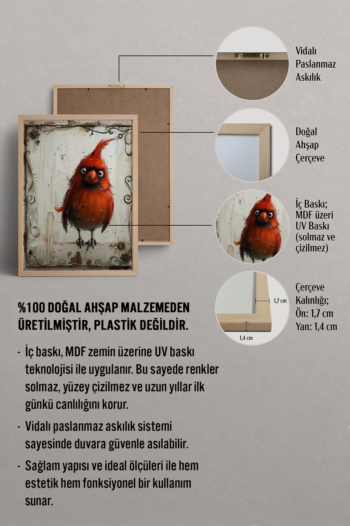 HOMEPACK Huysuz Kardinal Tablo  BEK-8680