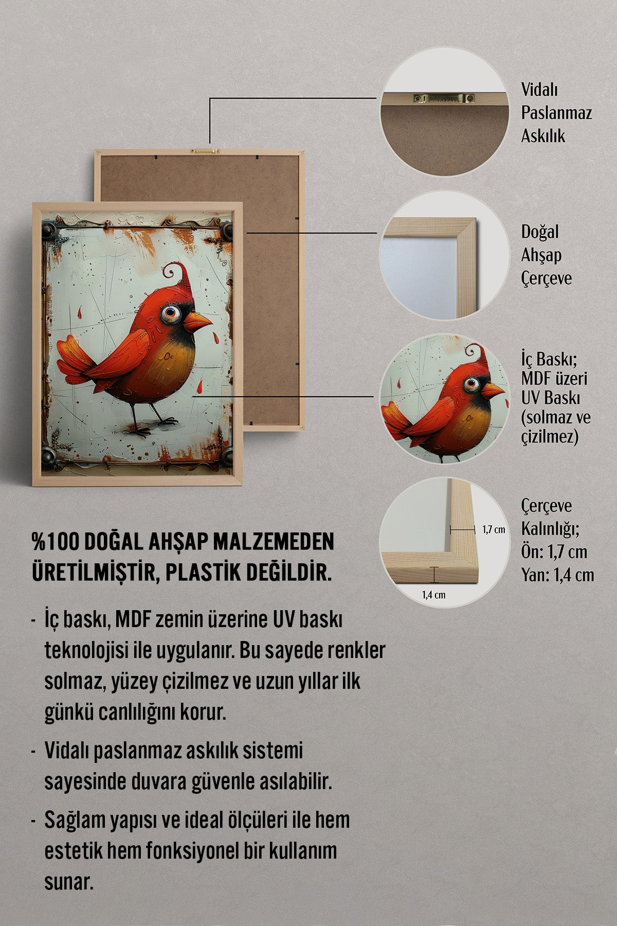 HOMEPACK Kıvırcık Kardinal Tablo  BEK-8682