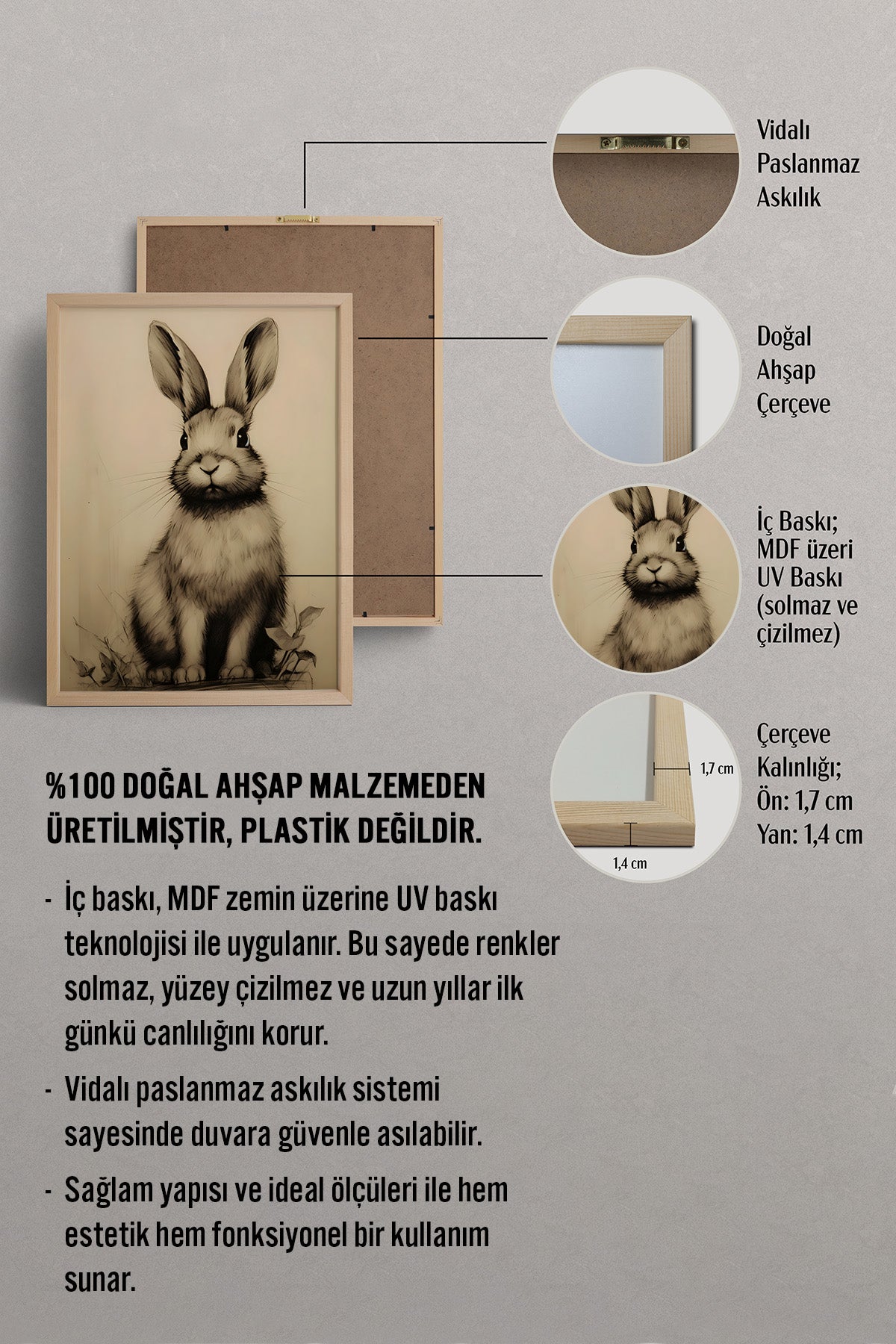 HOMEPACK Vintage Tavşan Tablo  BEK-8688