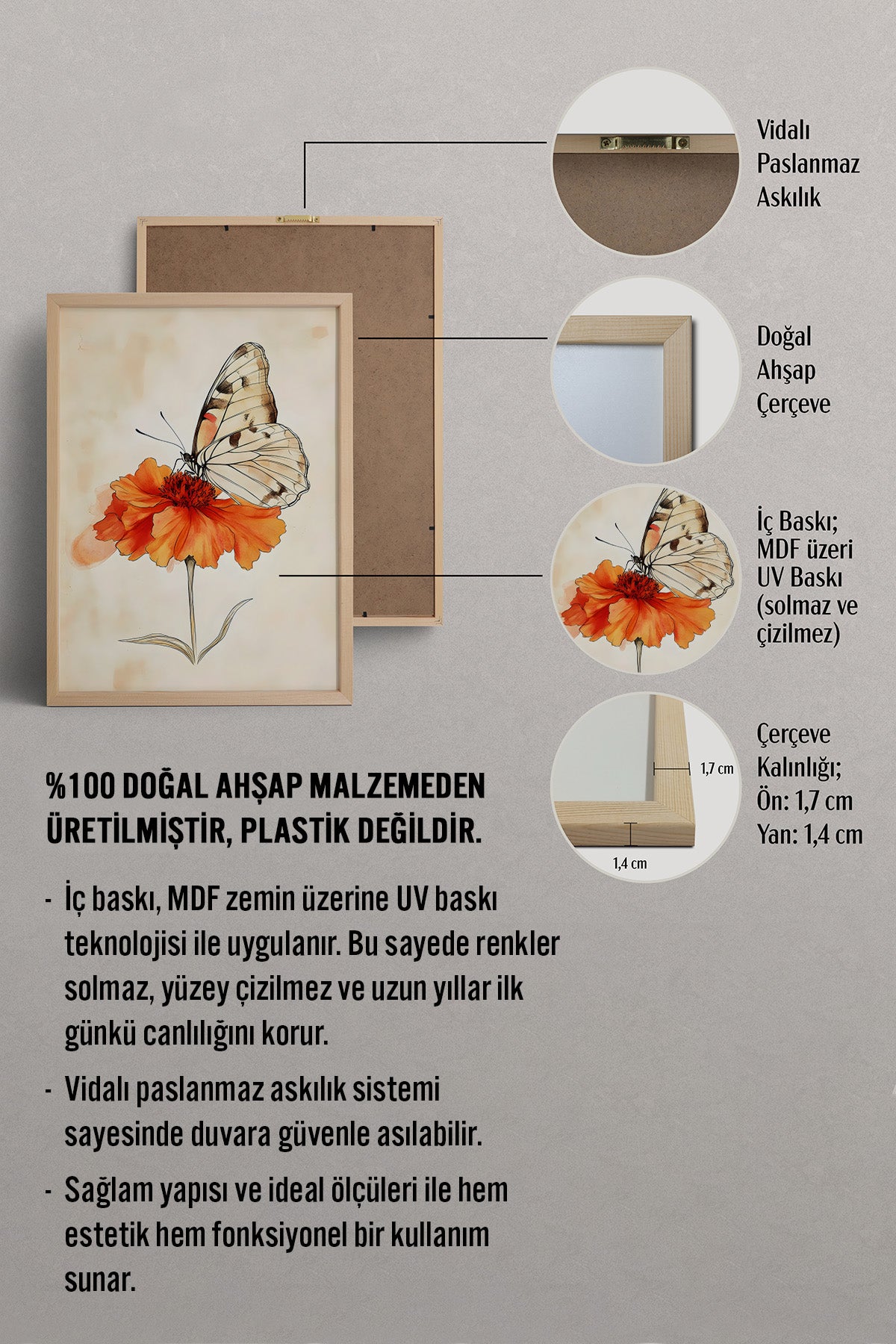 HOMEPACK Zarif Kanatlar Tablo  BEK-8695