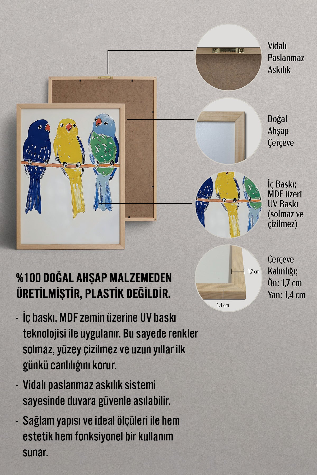 HOMEPACK Neşeli Minik Kuşlar Tablo  BEK-8528