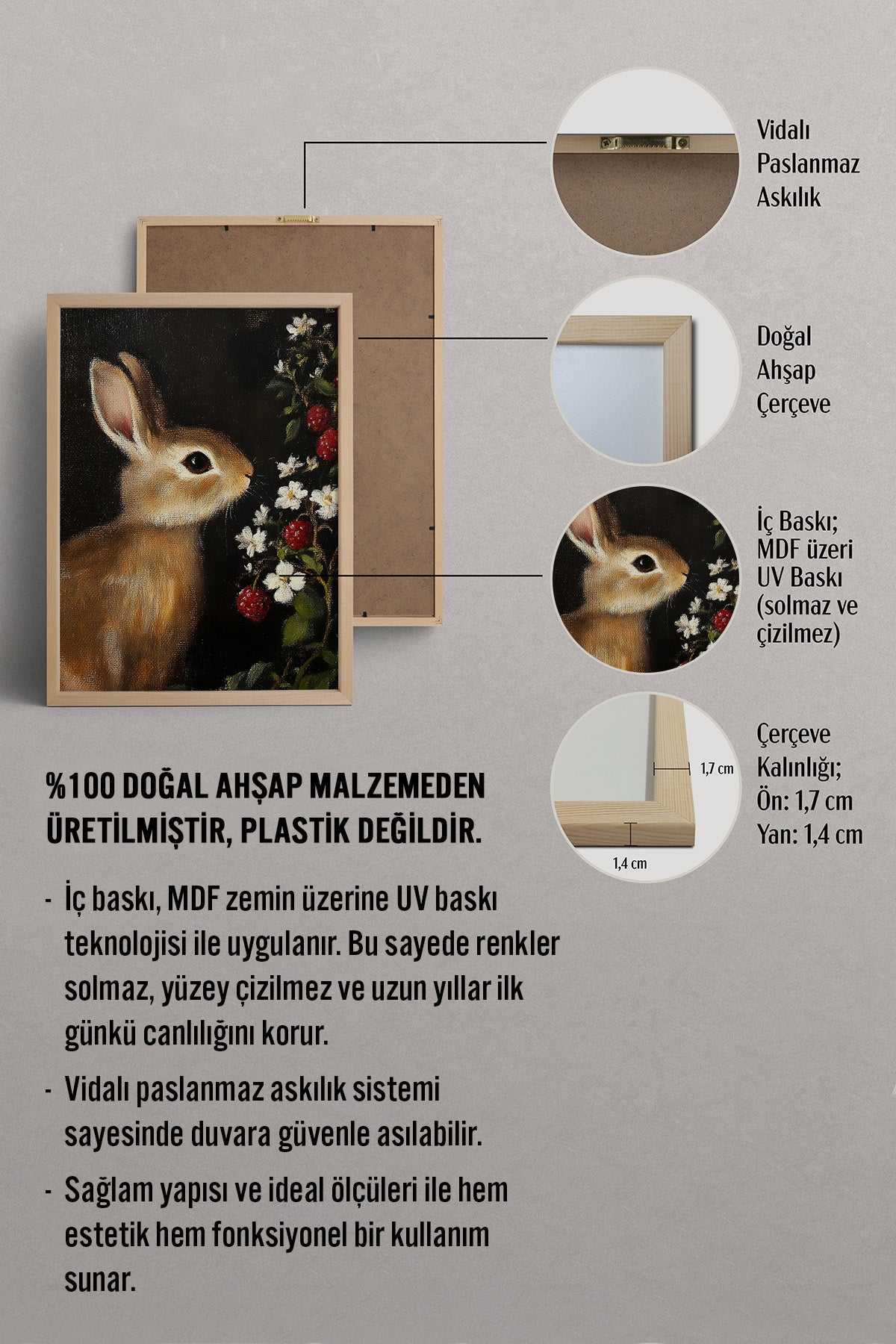 HOMEPACK Bahar Tavşanı Tablo  BEK-8700