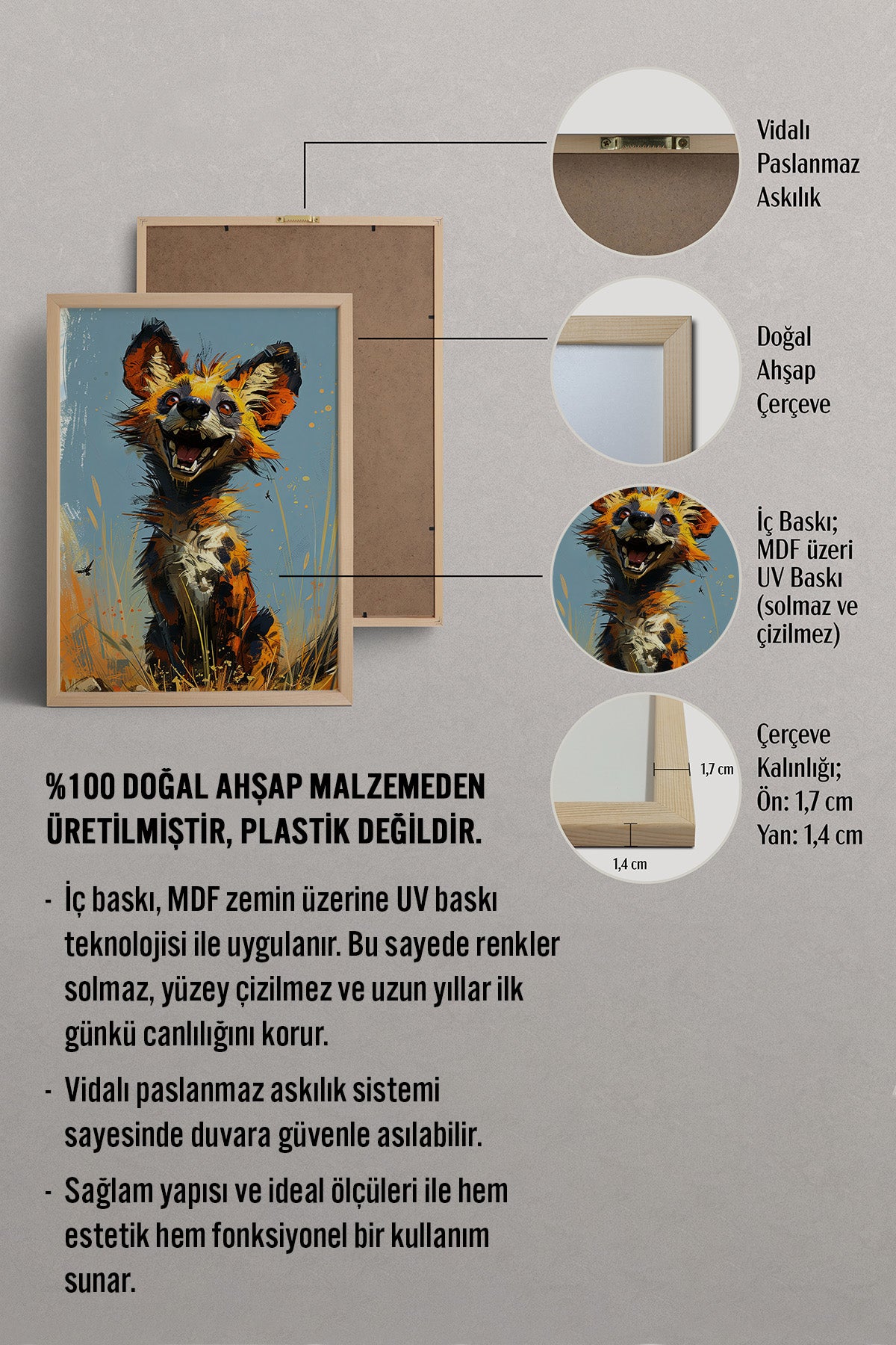 HOMEPACK Neşeli Vahşi Dost Tablo  BEK-8532