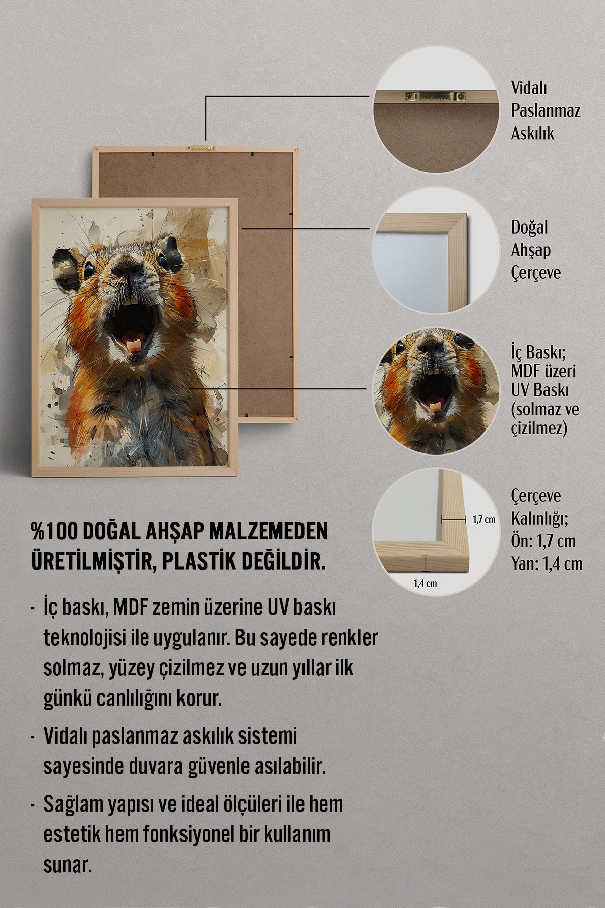 HOMEPACK Minik Çılgın Hamster Tablo  BEK-8535