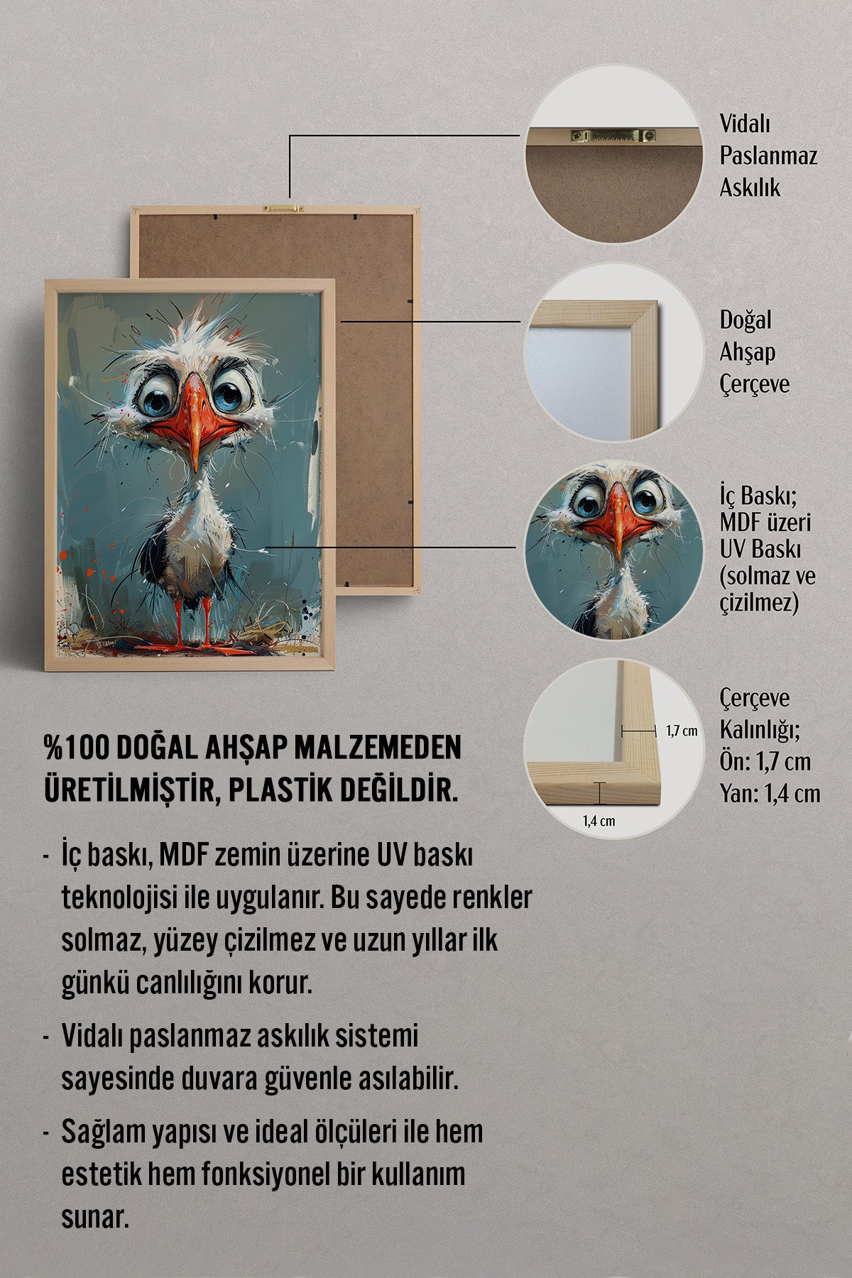 HOMEPACK Kocagöz Kuş Tablo  BEK-8537