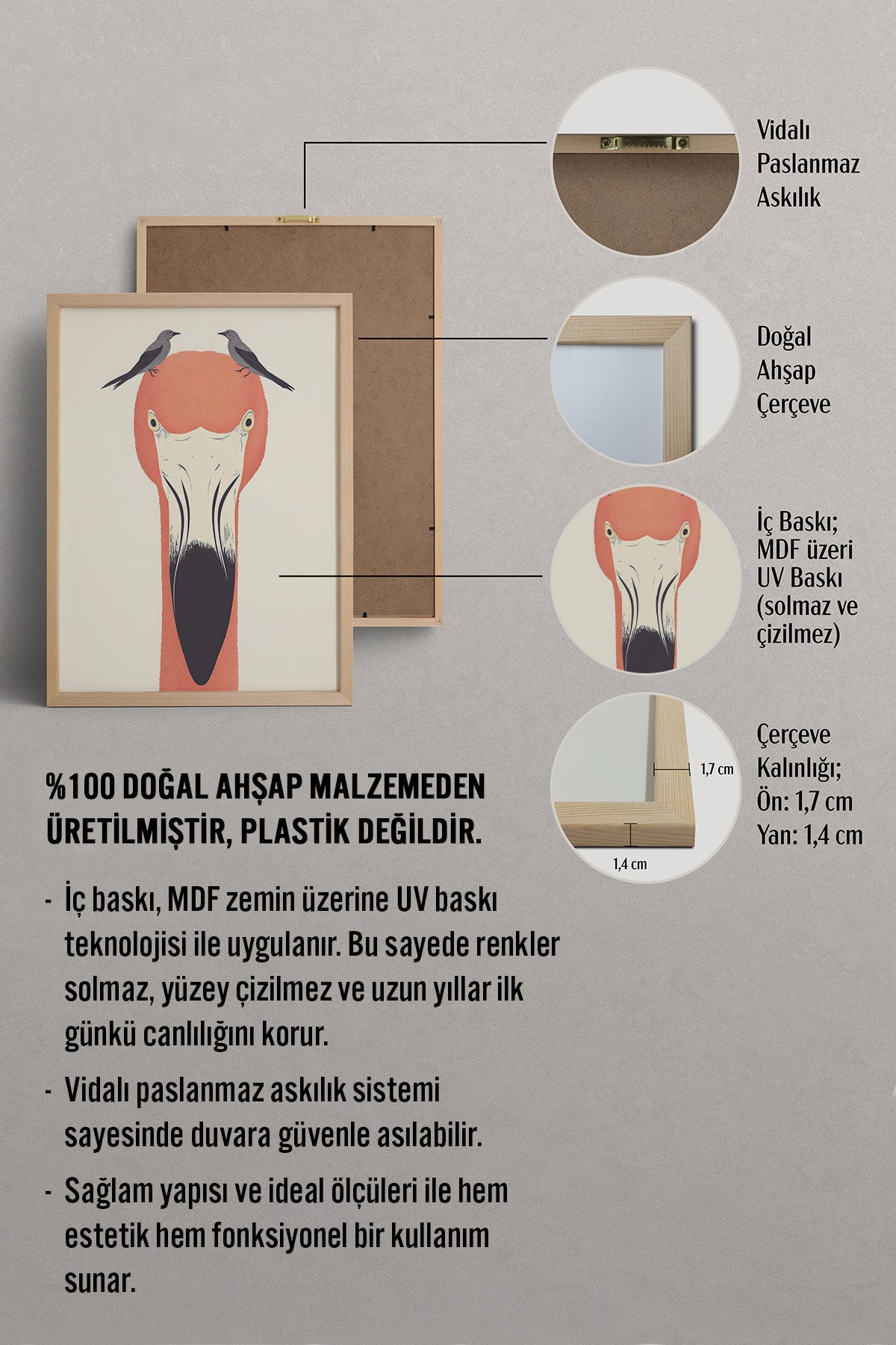 HOMEPACK Flamingo Bakışı Tablo  BEK-8543