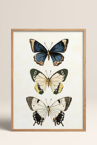 HOMEPACK Pastel Kanatlar Tablo  BEK-8544