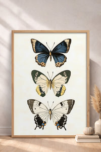 HOMEPACK Pastel Kanatlar Tablo  BEK-8544