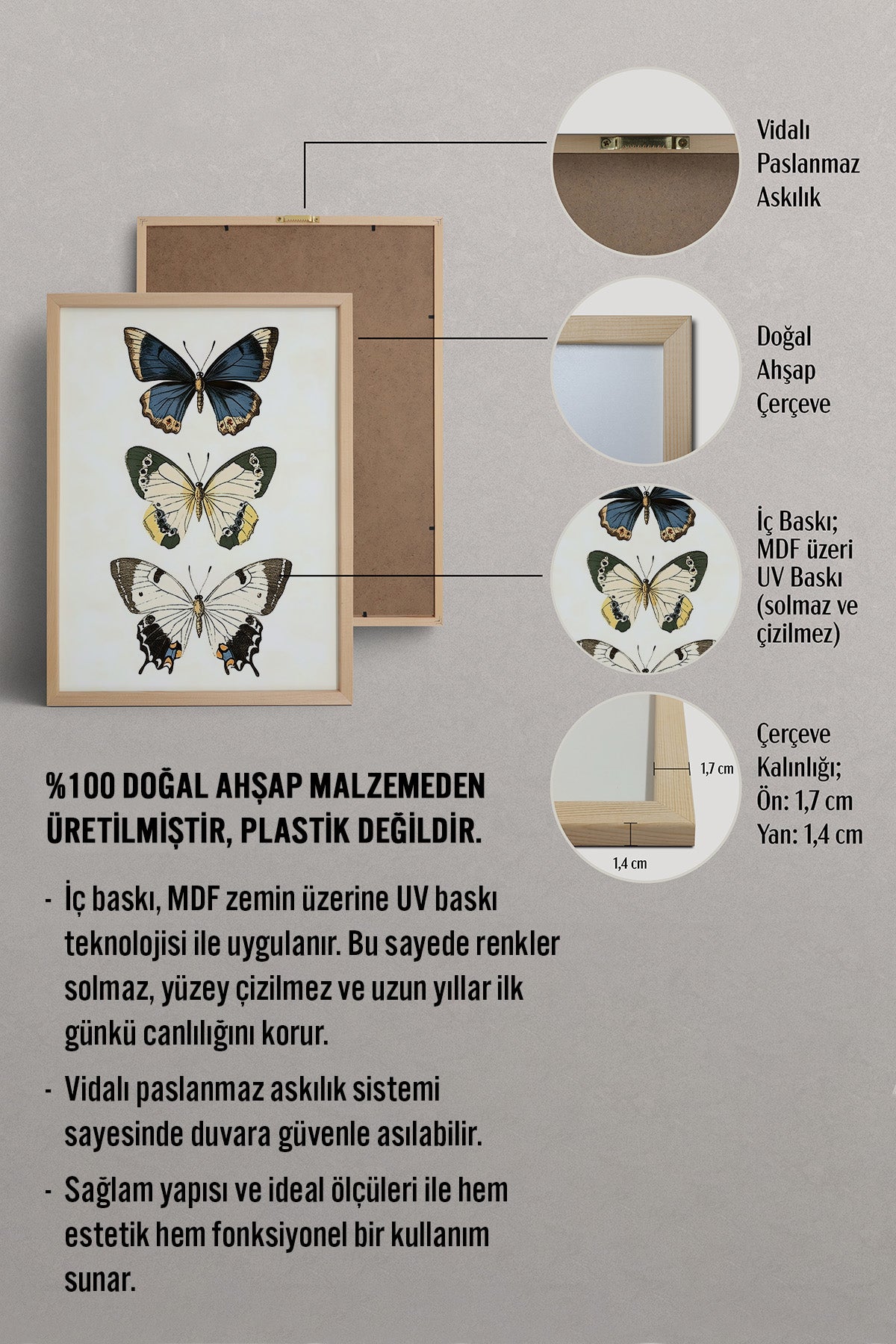 HOMEPACK Pastel Kanatlar Tablo  BEK-8544