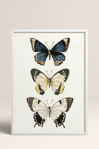 HOMEPACK Pastel Kanatlar Tablo  BEK-8544