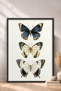 HOMEPACK Pastel Kanatlar Tablo  BEK-8544
