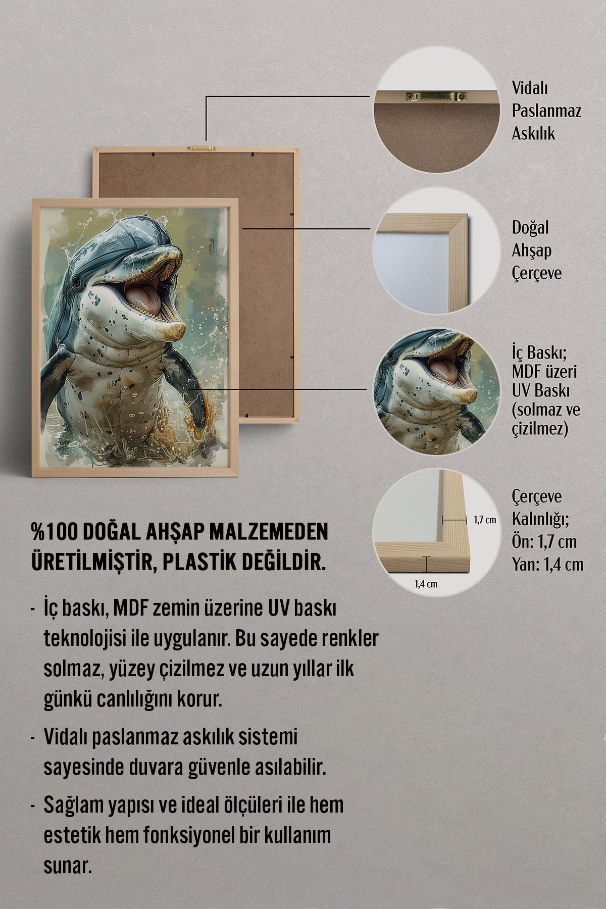 HOMEPACK Neşeli Yunus Tablo  BEK-8547