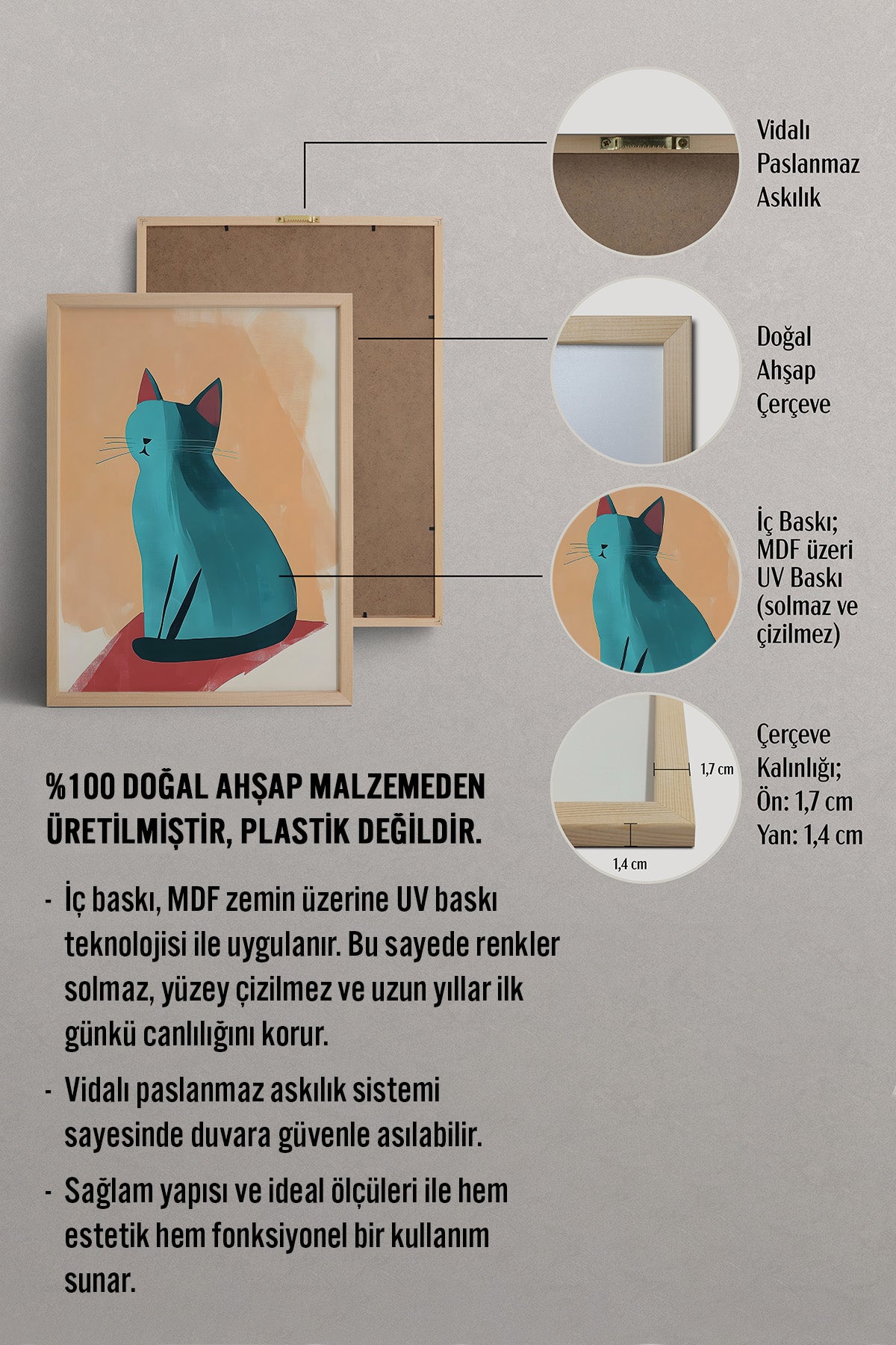 HOMEPACK Tatlı Modern Kedi Tablo  BEK-8514