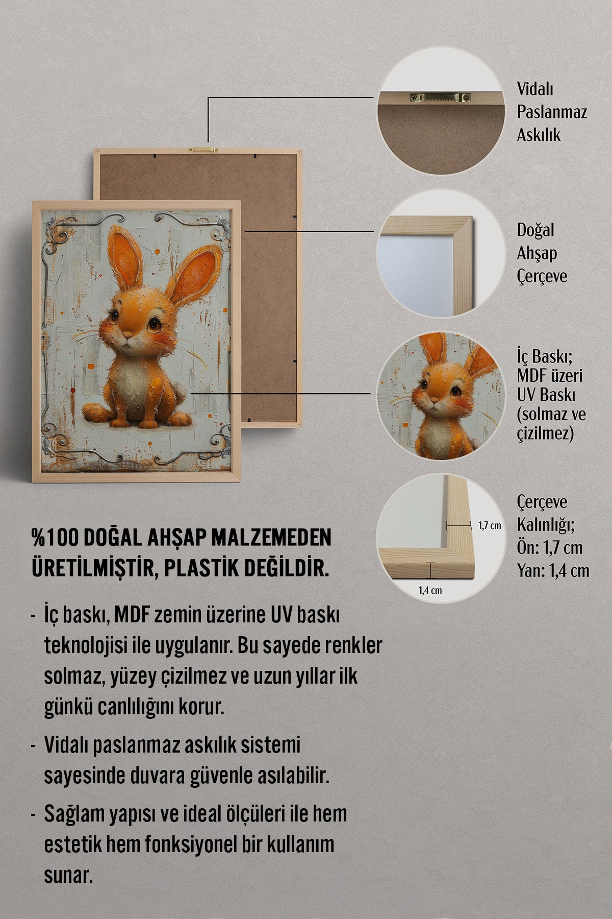 HOMEPACK Neşeli Minik Tavşan Tablo  BEK-8562