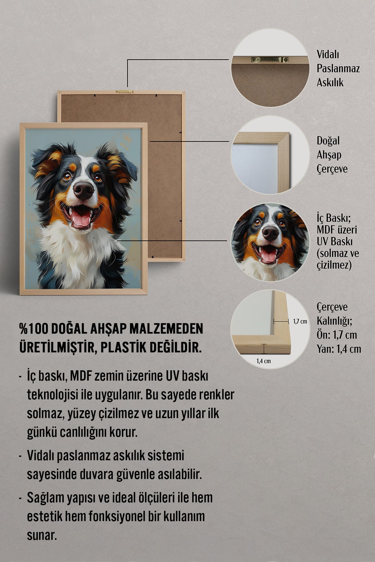HOMEPACK Sevimli Border Collie Tablo  BEK-8564