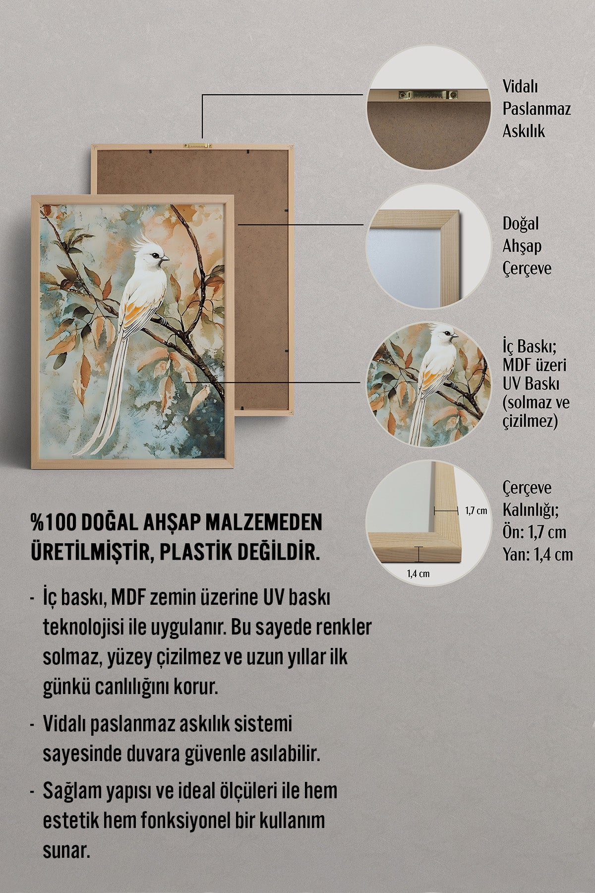 HOMEPACK Pastel Kanatlar Tablo  BEK-8568