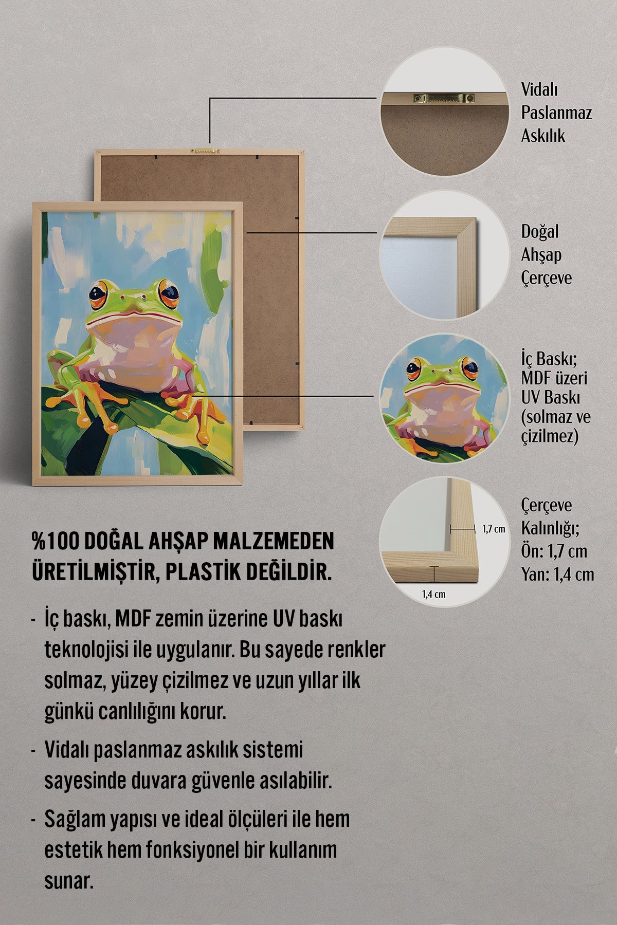 HOMEPACK Yaprakta Küçük Kurbağa Tablo  BEK-8574