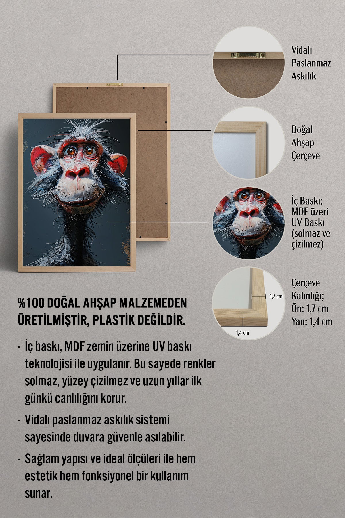 HOMEPACK Şaşkın Maymun Tablo  BEK-8575