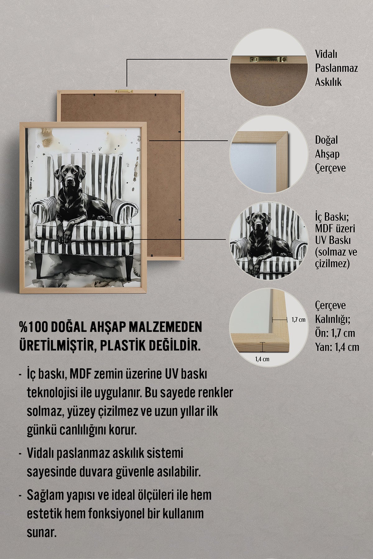HOMEPACK Karizmatik Labrador Köpek Tablo  BEK-8576