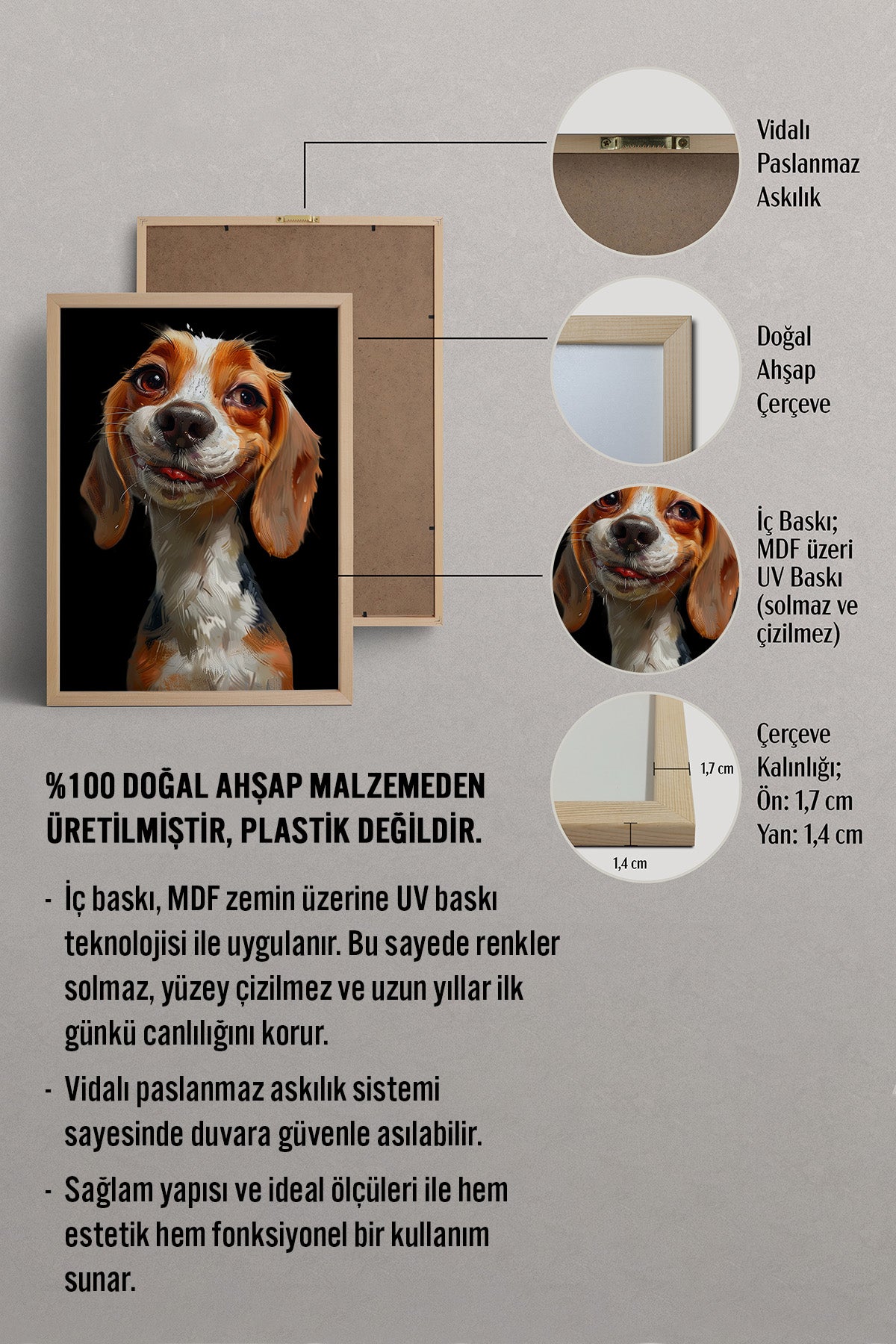 HOMEPACK Tatlı Beagle Bakışı Tablo  BEK-8589